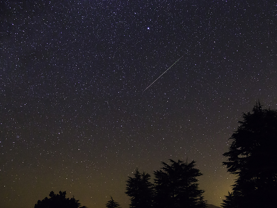 Active Adults Pursue Perseid Stargazing